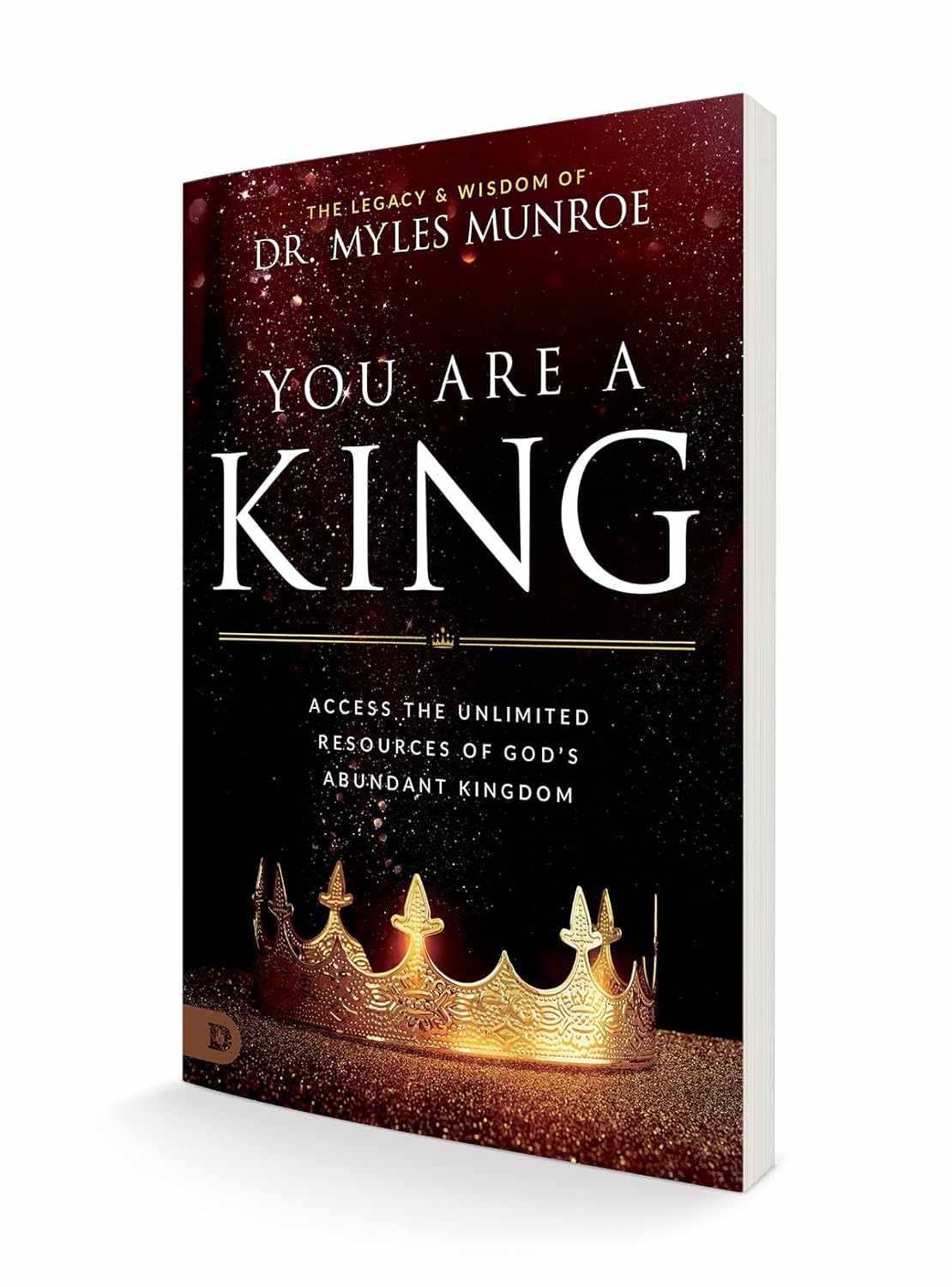 You Are a King: Access the Unlimited Resources of God's Abundant Kingdom