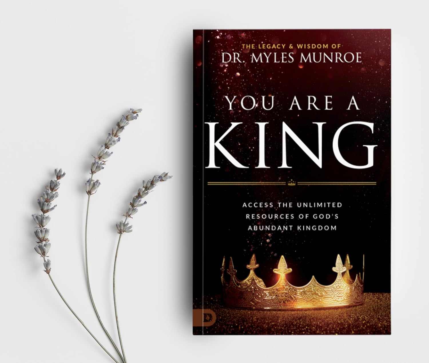 You Are a King: Access the Unlimited Resources of God's Abundant Kingdom